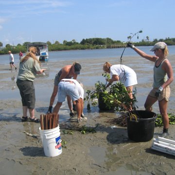 IMG_0009 IMG_0009