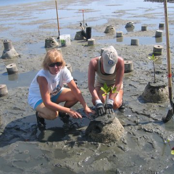 IMG_0010 IMG_0010