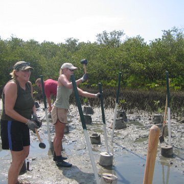IMG_0013 IMG_0013