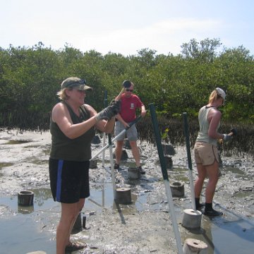 IMG_0014 IMG_0014