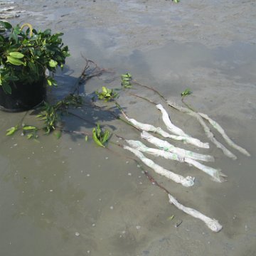 IMG_0015 IMG_0015