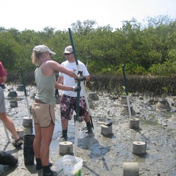 IMG_0016 IMG_0016