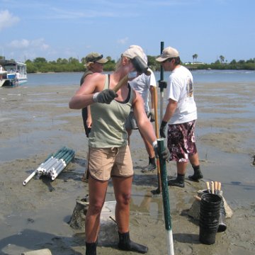 IMG_0017 IMG_0017