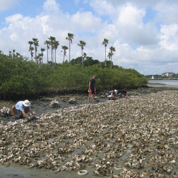 IMG_0021 IMG_0021