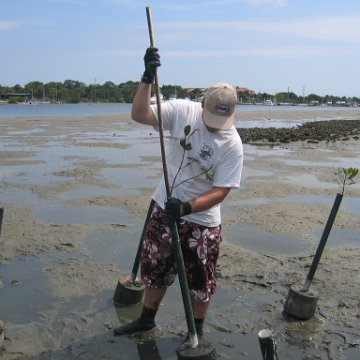 IMG_0031 IMG_0031