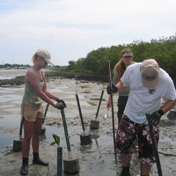 IMG_0034 IMG_0034