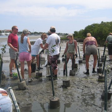 IMG_0037 IMG_0037
