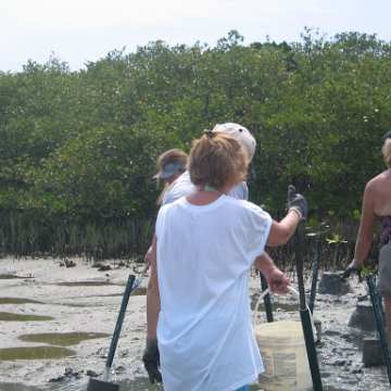 IMG_0039 IMG_0039