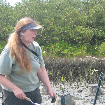IMG_0040 IMG_0040