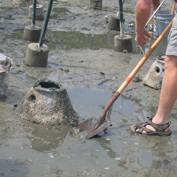 IMG_0044 IMG_0044