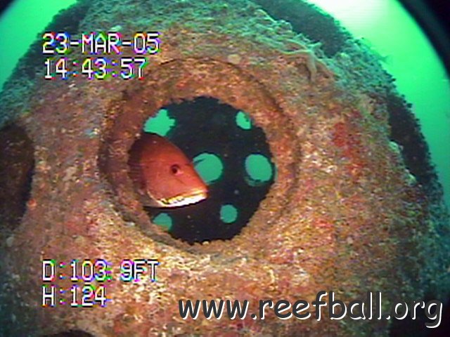 Spring 2005 photos 301