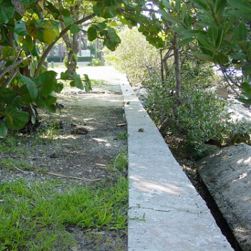 dsc00392 dsc00392
