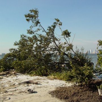 dsc00397 dsc00397