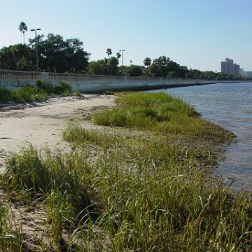 dsc00398 dsc00398