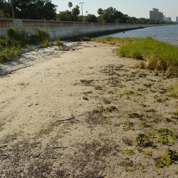 dsc00399 dsc00399