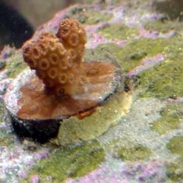 dsc00029 dsc00029
