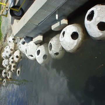 reef_balls_from_the_sea2 reef_balls_from_the_sea2