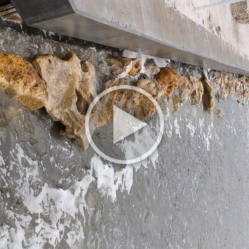 VID_20181010_090228 VID_20181010_090228