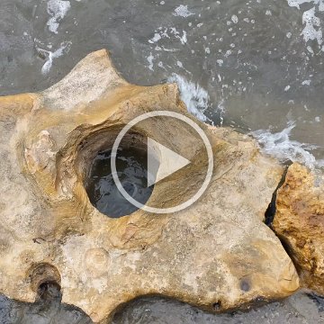VID_20181010_090451 VID_20181010_090451