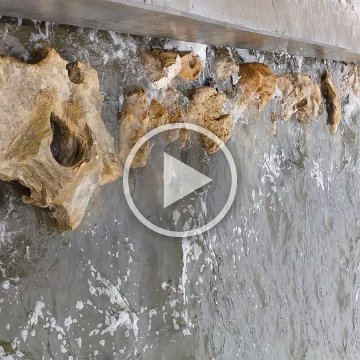 VID_20181010_095113 VID_20181010_095113