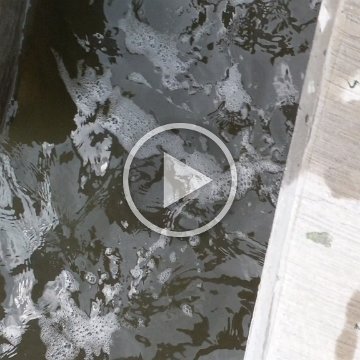 VID_20181010_101753 VID_20181010_101753