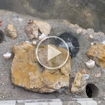 VID_20181010_104143 VID_20181010_104143