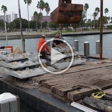 VID_20181010_112255 VID_20181010_112255
