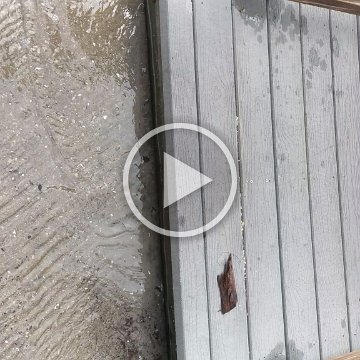 VID_20181010_113404 VID_20181010_113404