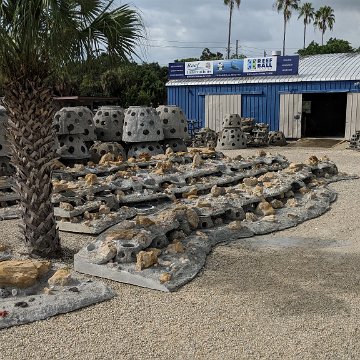 MVIMG_20180925_161213