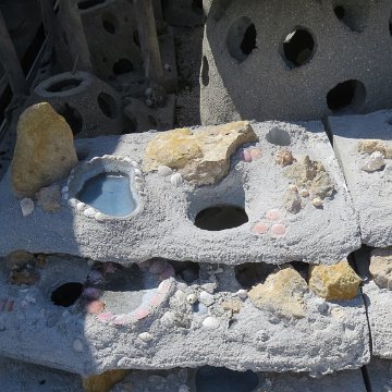 IMG_2303 IMG_2303