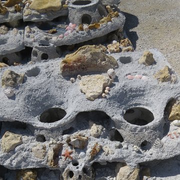 IMG_2304 IMG_2304