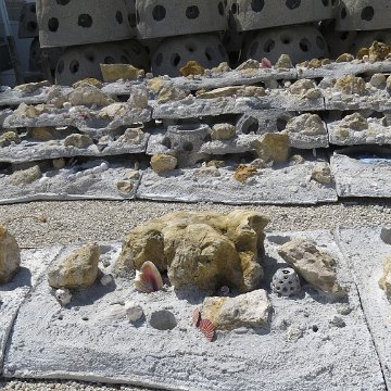 IMG_2324 IMG_2324