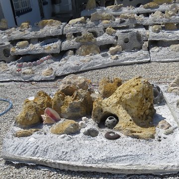 IMG_2326 IMG_2326