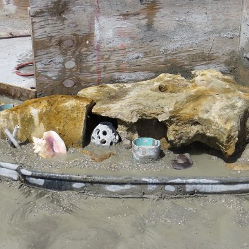 IMG_2329 IMG_2329
