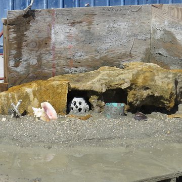 IMG_2330 IMG_2330