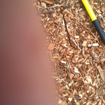 2012-06-06 17.37.23 2012-06-06 17.37.23