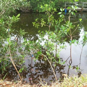 2012-06-07 09.27.03 2012-06-07 09.27.03