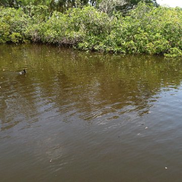 2012-06-08 13.25.24 2012-06-08 13.25.24