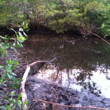 IMG_0845 IMG_0845