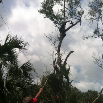 IMG_0850 IMG_0850