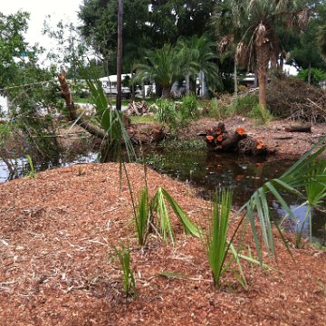 IMG_0884 IMG_0884