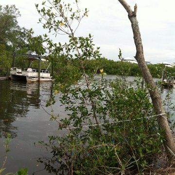 IMG_0885 IMG_0885