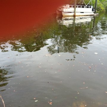 IMG_0887 IMG_0887