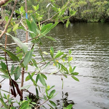 IMG_0933 IMG_0933