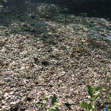 IMG_0947 IMG_0947