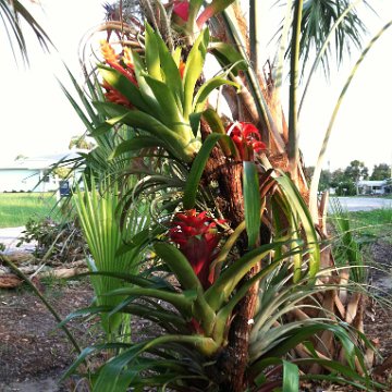 IMG_0950 IMG_0950