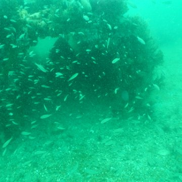 P7072657 P7072657