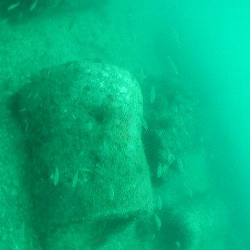 P7072662 P7072662