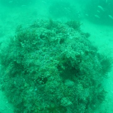 P7072668 P7072668