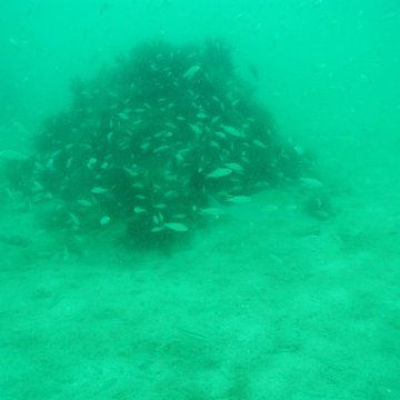 P7072676 P7072676
